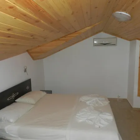Villa New Age Cetin