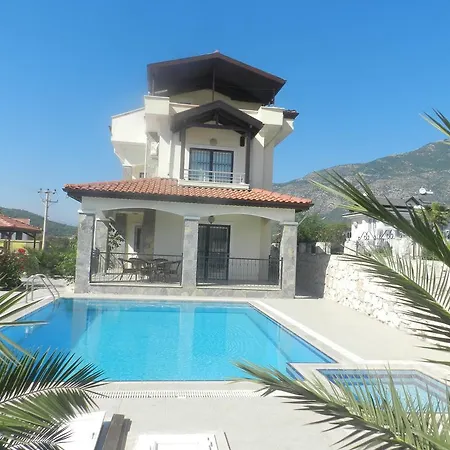 New Age Cetin Villa *